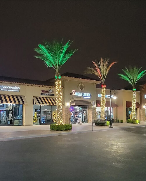 Commercial property with illuminated palm trees